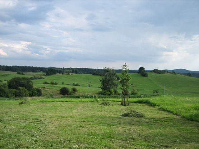 field